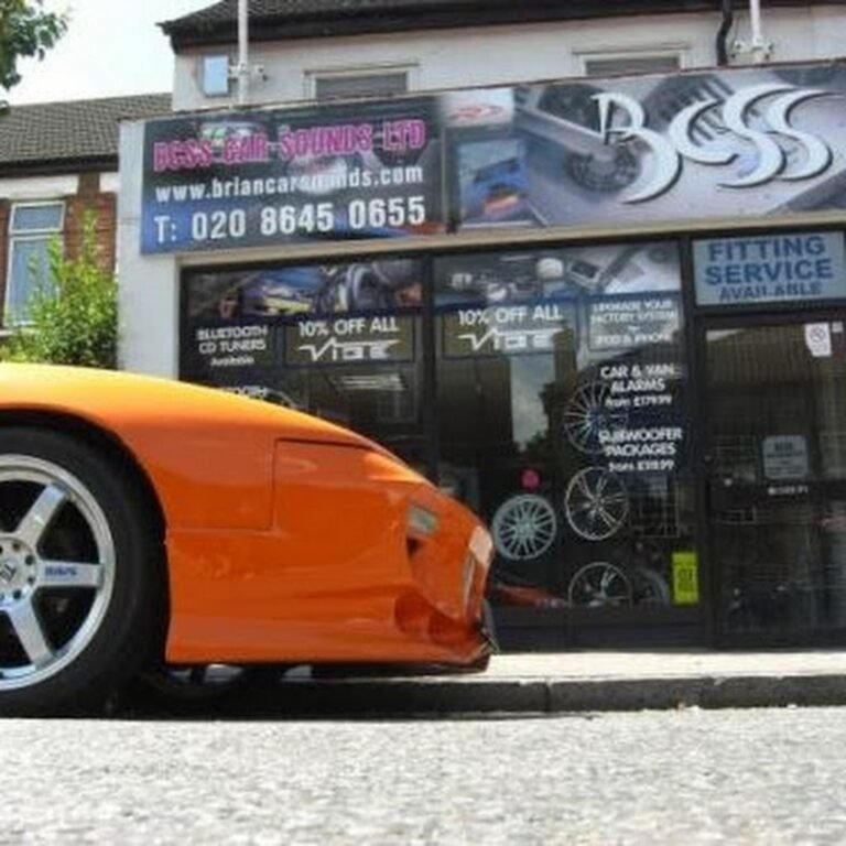 Brian Car Sounds Security (BCSS)
