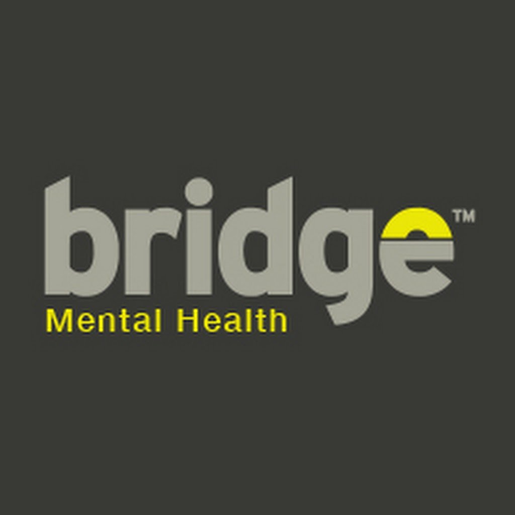 Bridge logo
