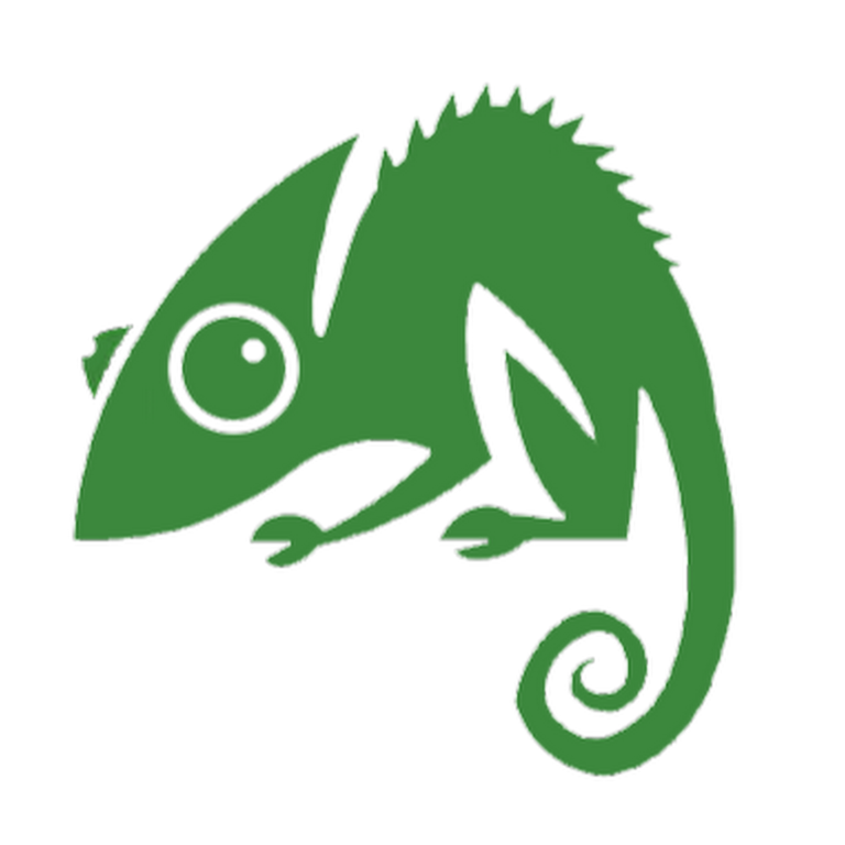 Chameleon Web Services Marylebone