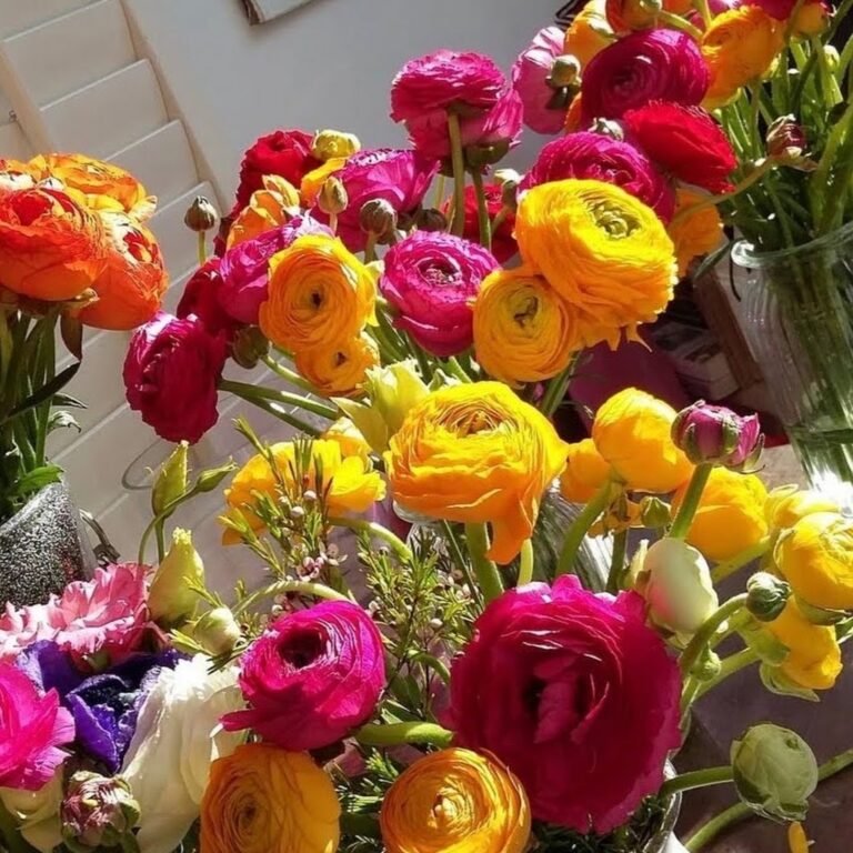 Mento Flowers