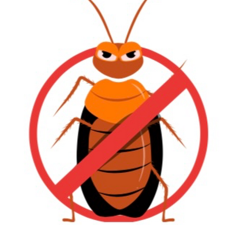 Rapido pest control ltd