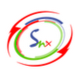 Synergy Networxx logo