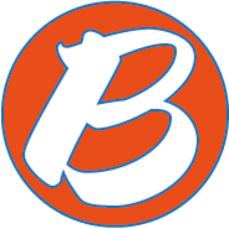 Brisk & Co, Chartered Certified Accountants