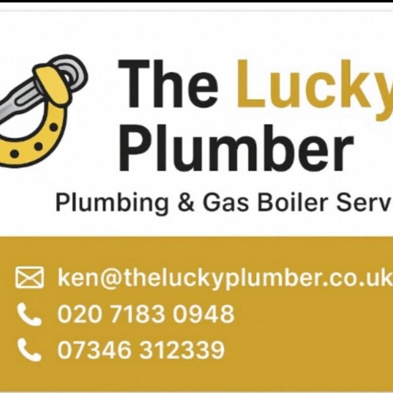 THE LUCKY PLUMBER LTD