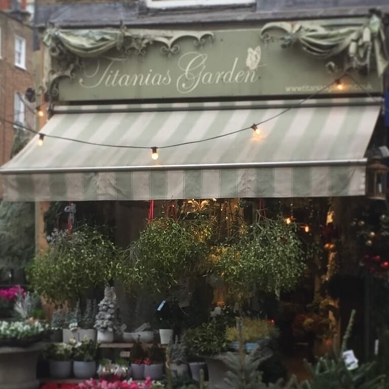 Titania’s Garden