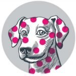 Village Vet Garden Suburb logo