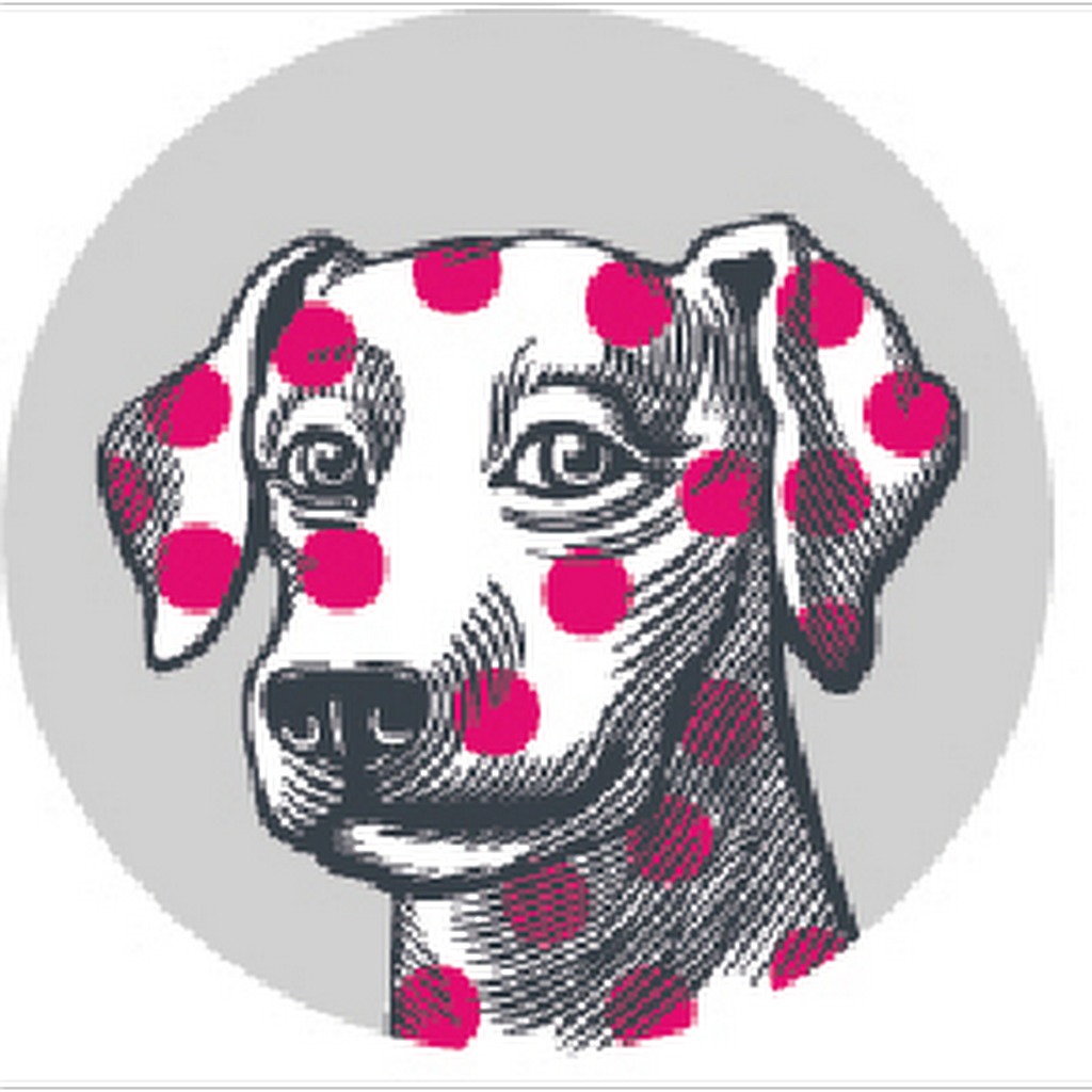 Village Vet Hampstead logo