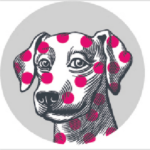 Village Vet Hampstead logo