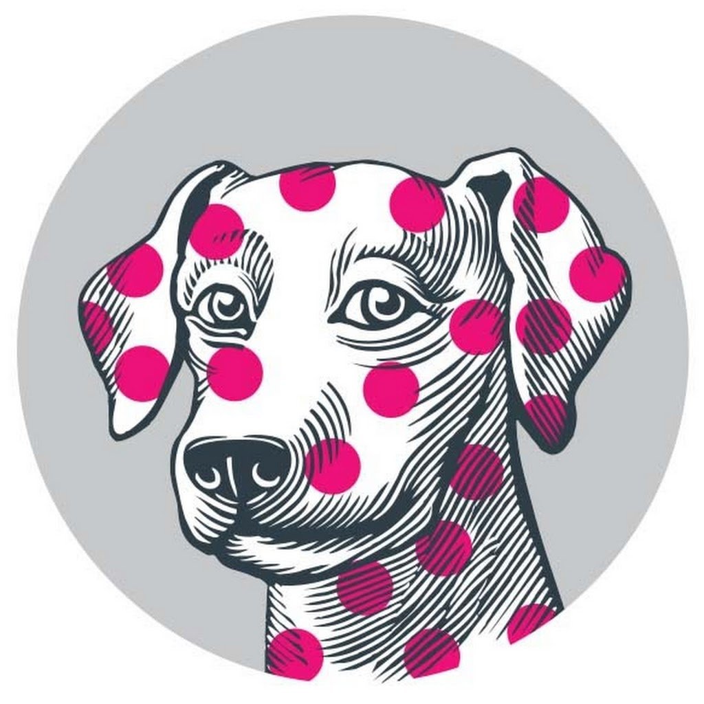 Village Vet Palmers Green logo