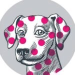 Village Vet Queens Park logo