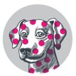 Village Vet West Hampstead logo