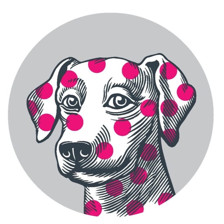 Village Vet West Hampstead