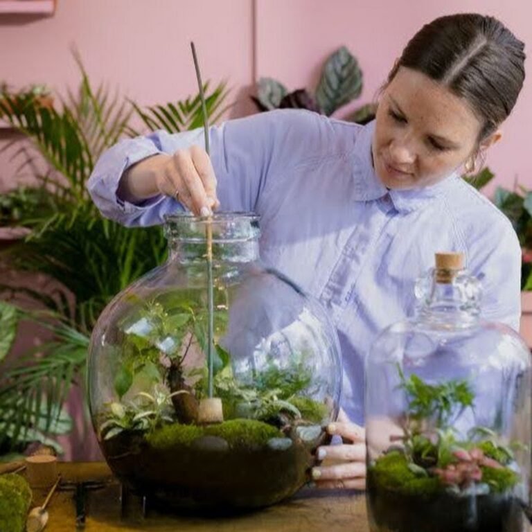 London Terrariums