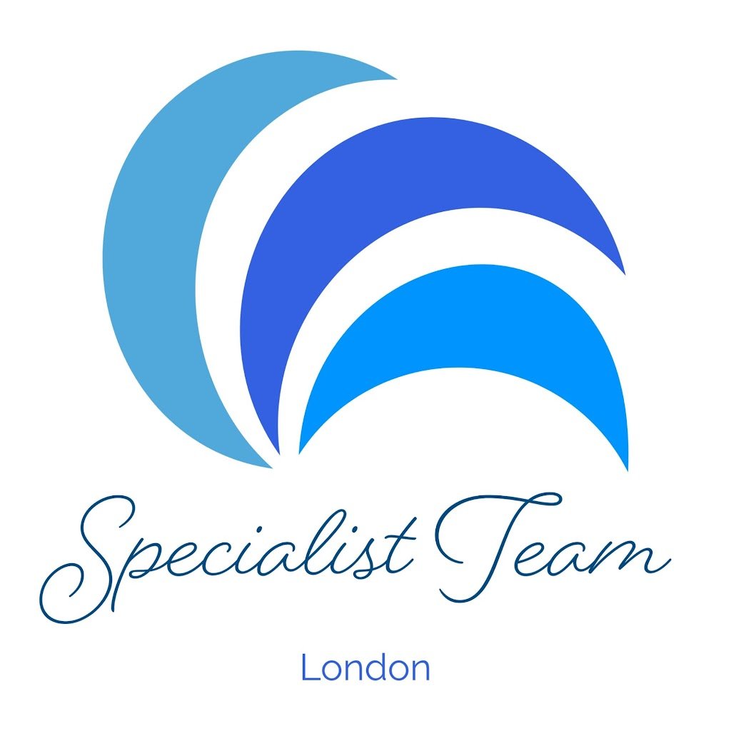 Specialist Team Ltd logo