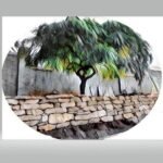 SW London Landscapes Limited logo